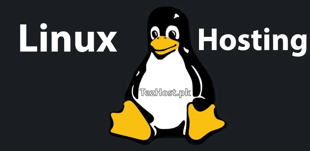 Linux Web Hosting in Pakistan